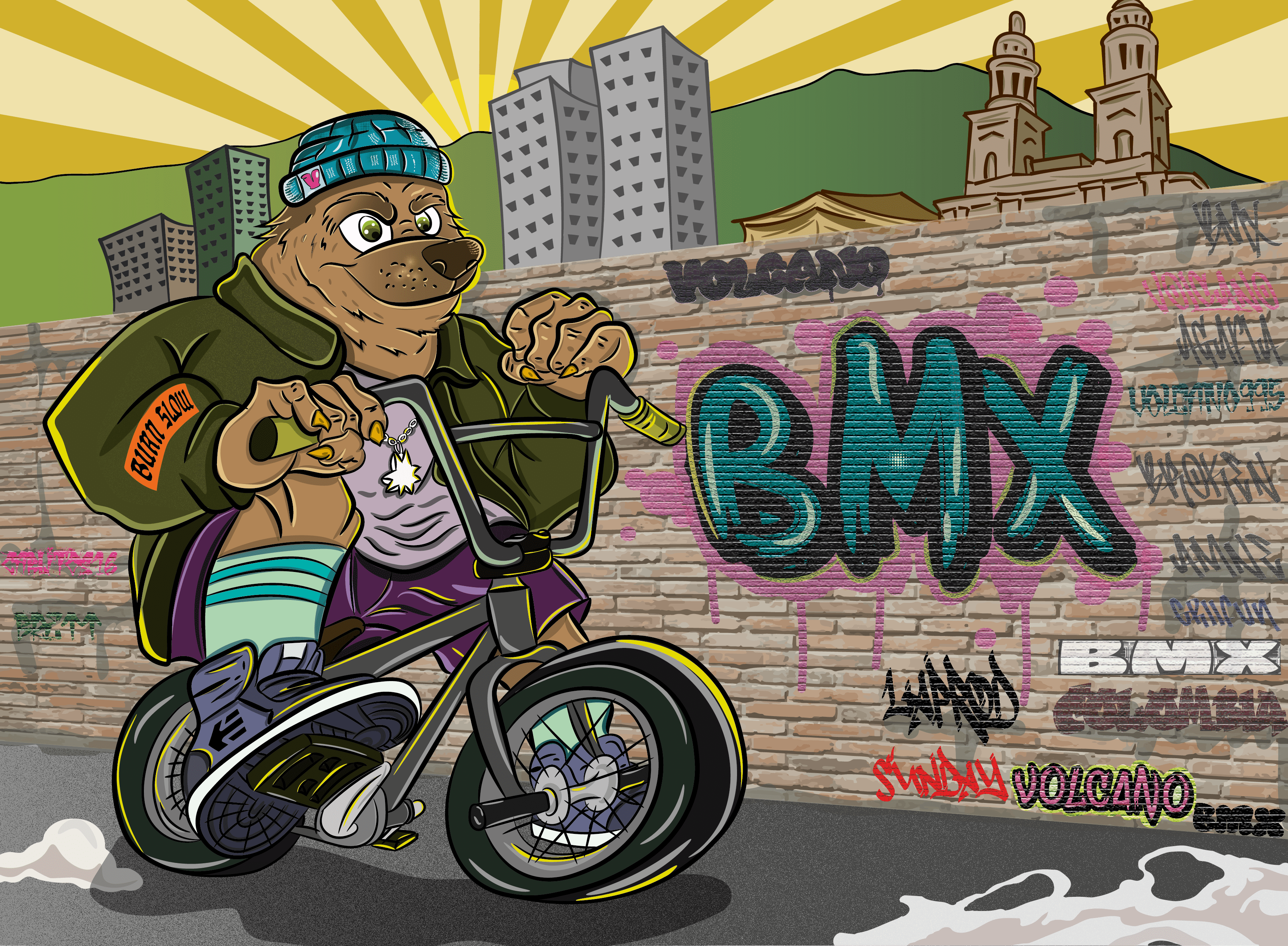 Oso BMX Volcano